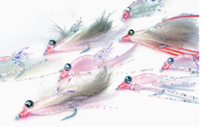 fly fishing magazine - saltwater fly fishing magazine - BONEFISH