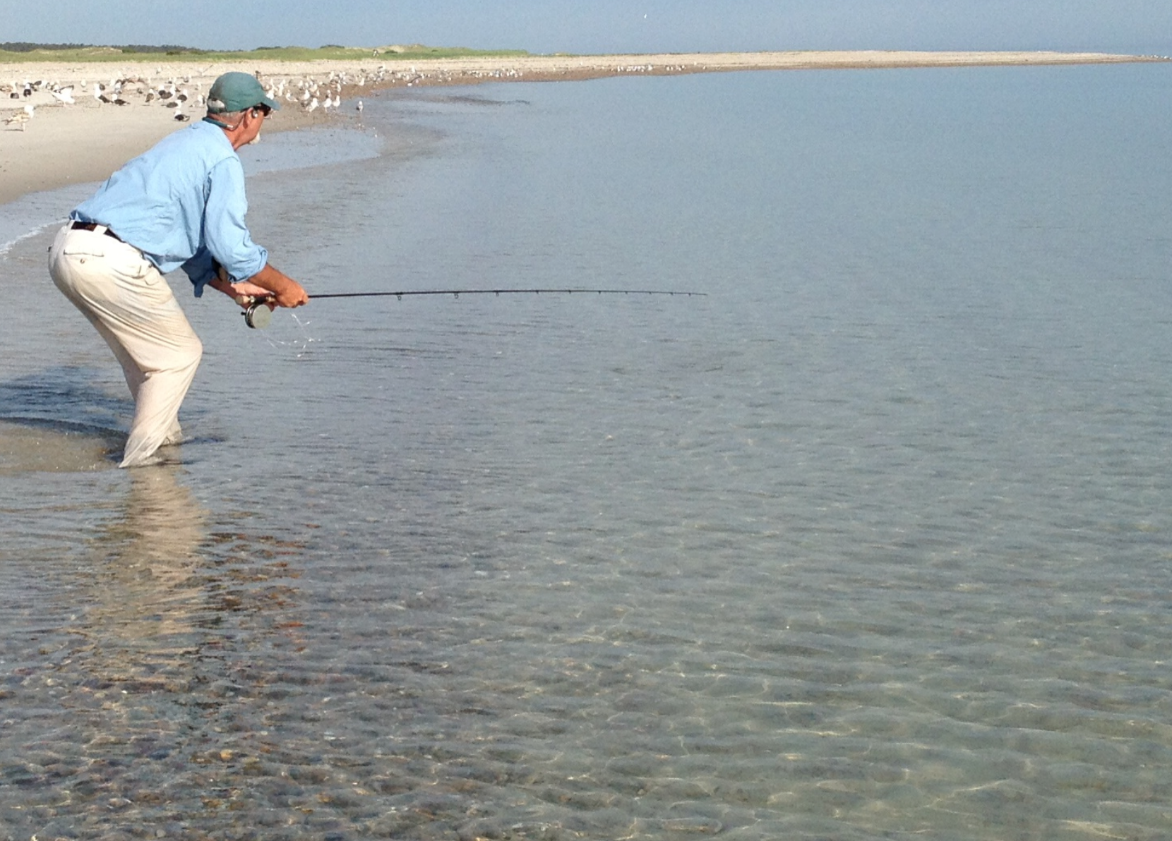 SEEING ON THE FLATS - Tail Fly Fishing Magazine