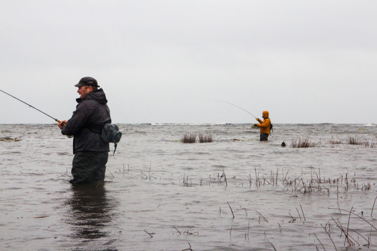 Beached Fly Fishing Without a Boat Tail Fly Fishing Magazine