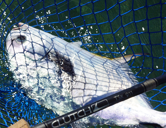 Using Nets for Saltwater Species - Tail Fly Fishing Magazine
