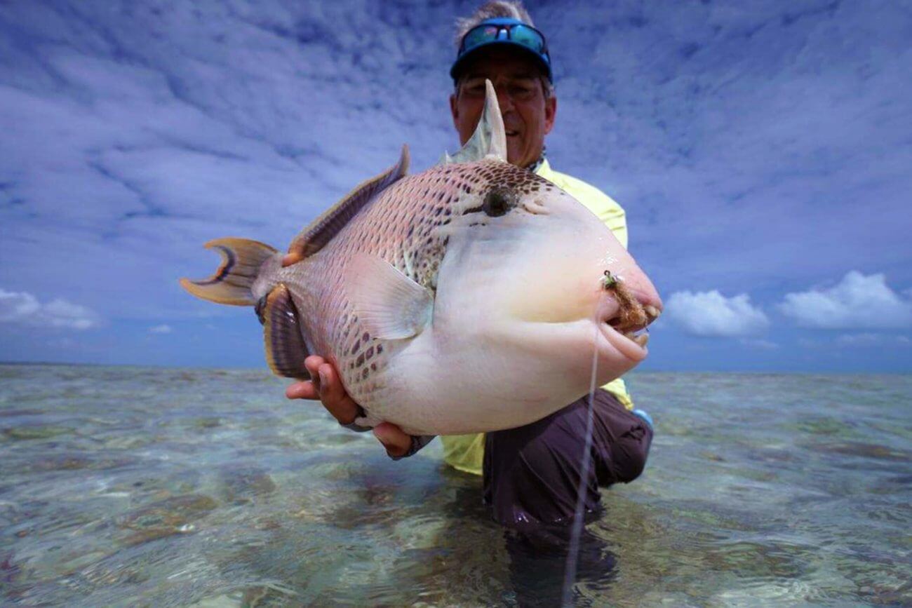 joedoggetttriggerfishchristmasisland Tail Fly Fishing Magazine