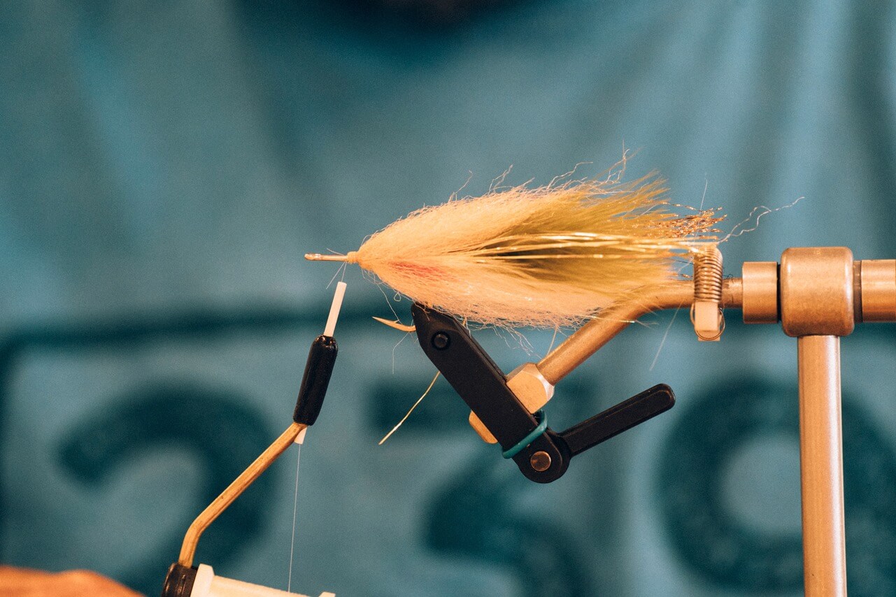 Saltwater Fly Tying – The Salty Stripper - Tail Fly Fishing Magazine