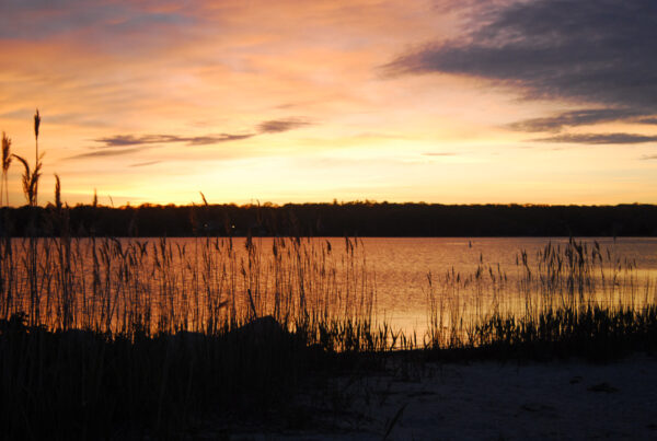 Worm Hatch – Northeast – Striped Bass - Tail Fly Fishing Magazine