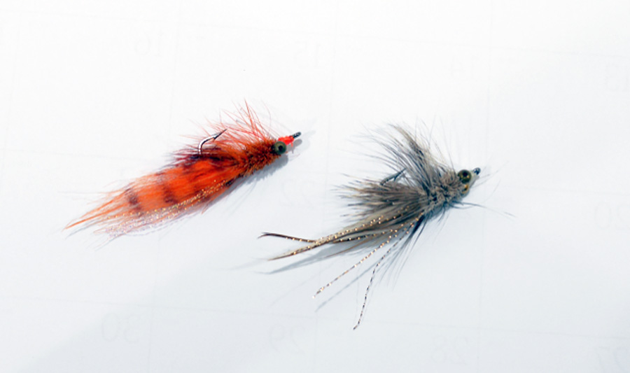 Go-to Flies for the Everglades by Chico Fernandez - Tail Fly Fishing  Magazine