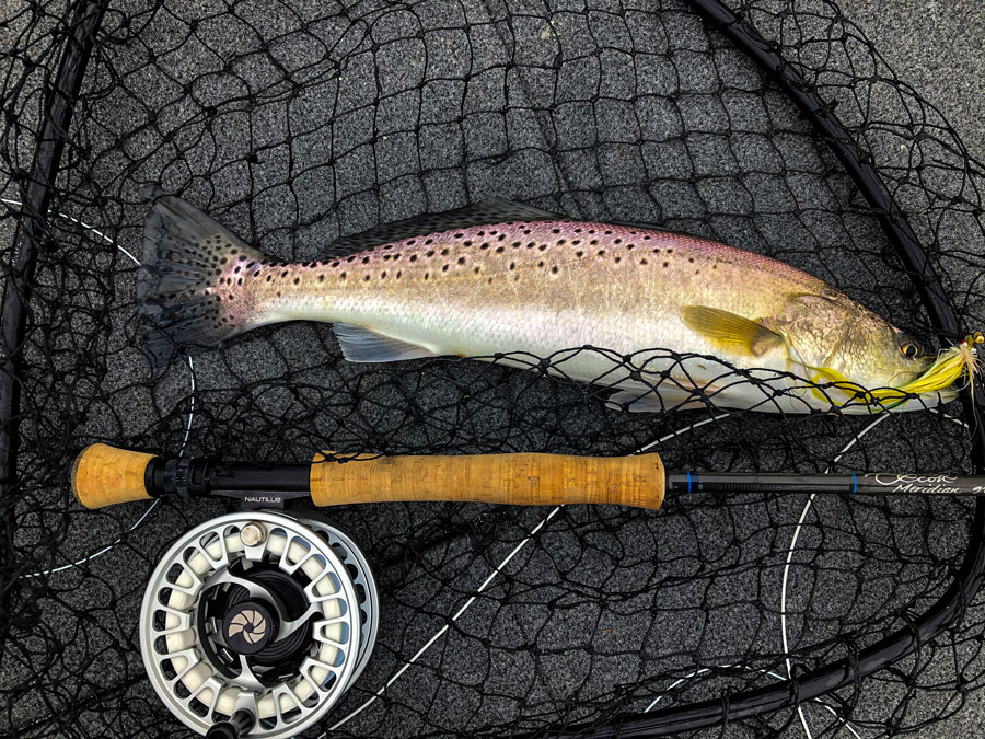 https://www.tailflyfishing.com/wp-content/uploads/2023/09/Seatrout-on-fly-tail-fly-fishing-1.jpg